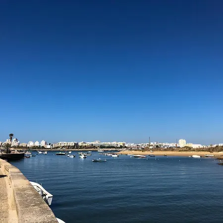 Beautiful With Terrace & Garden